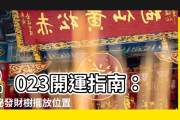 【發財樹擺放位置2023】2023開運指南：揭秘發財樹擺放位置，財源滾滾來！