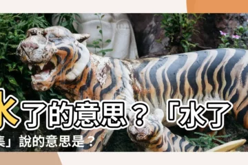 【水了 意思】水了的意思？「水了一集」説的意思是？揭秘線上流行用語