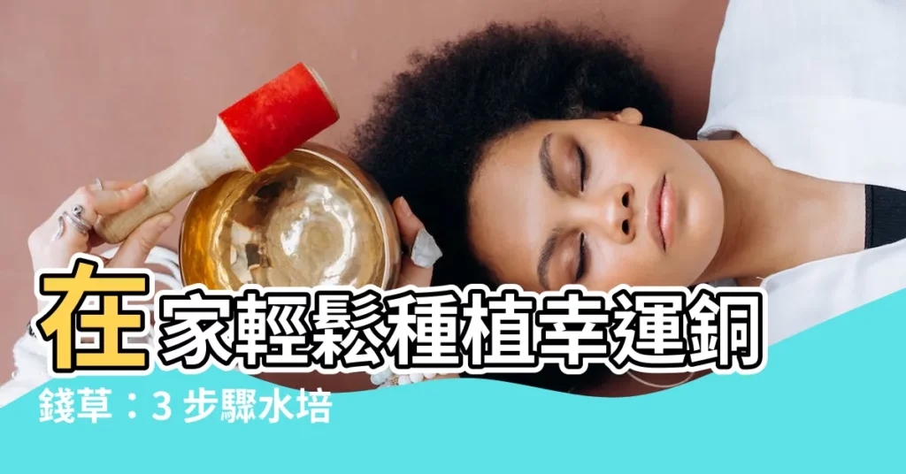 【銅錢草種子種植】在家輕鬆種植幸運銅錢草：3 步驟水培指南