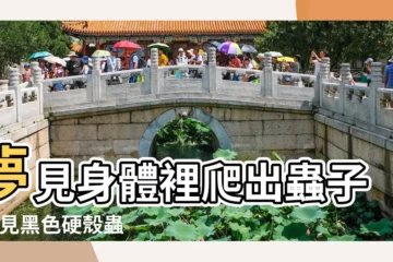 【我夢見有很多硬殼蟲子咬我】夢見身體裡爬出蟲子 |夢見黑色硬殼蟲子 |夢見黑色硬殼蟲 |