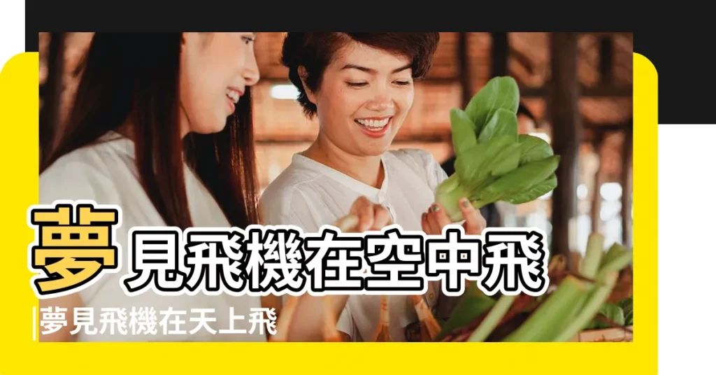 夢見飛機在空中飛 |夢見飛機在天上飛 |夢見飛機將要去旅行 |【做夢夢到飛機在飛】