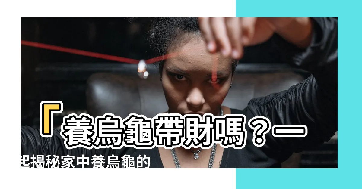 【烏龜帶財嗎】「養烏龜帶財嗎？一起揭秘家中養烏龜的招財風水禁忌」