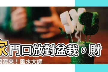 【家門口放盆栽】家門口放對盆栽，財運滾滾來！風水大師教你這樣擺！