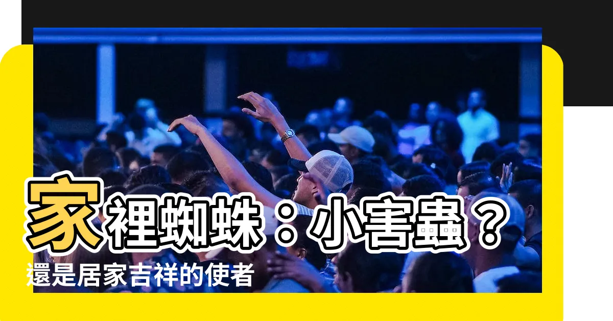【家裡蜘蛛】家裡蜘蛛：小害蟲？還是居家吉祥的使者？