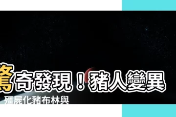 【豬人】驚奇發現！豬人變異體：殭屍化豬布林與豬豬人的秘密