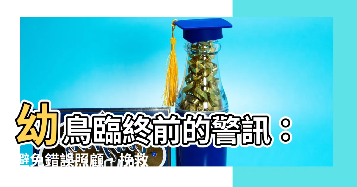 【幼鳥 死 前的徵兆】幼鳥臨終前的警訊：避免錯誤照顧，挽救小生命