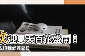 【夏天的花有哪些】歡迎夏天百花盛開！盤點10種必賞夏日花卉