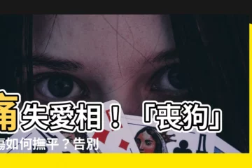 【喪狗】痛失愛相！「喪狗」哀傷如何撫平？告別心愛寵物必看