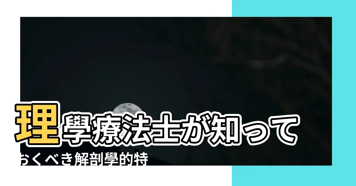 【手 骨】理學療法士が知っておくべき解剖學的特徴についても解説 |手根骨の覚え方 |高清圖譜 |