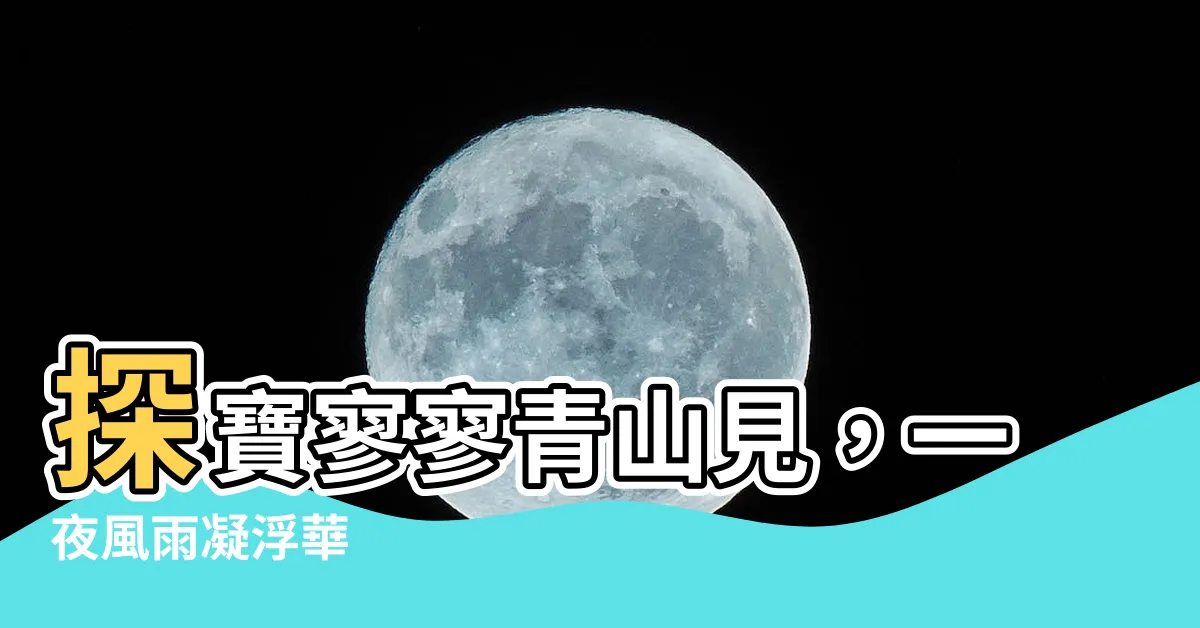 【寥寥青山見】探寶寥寥青山見，一夜風雨凝浮華
