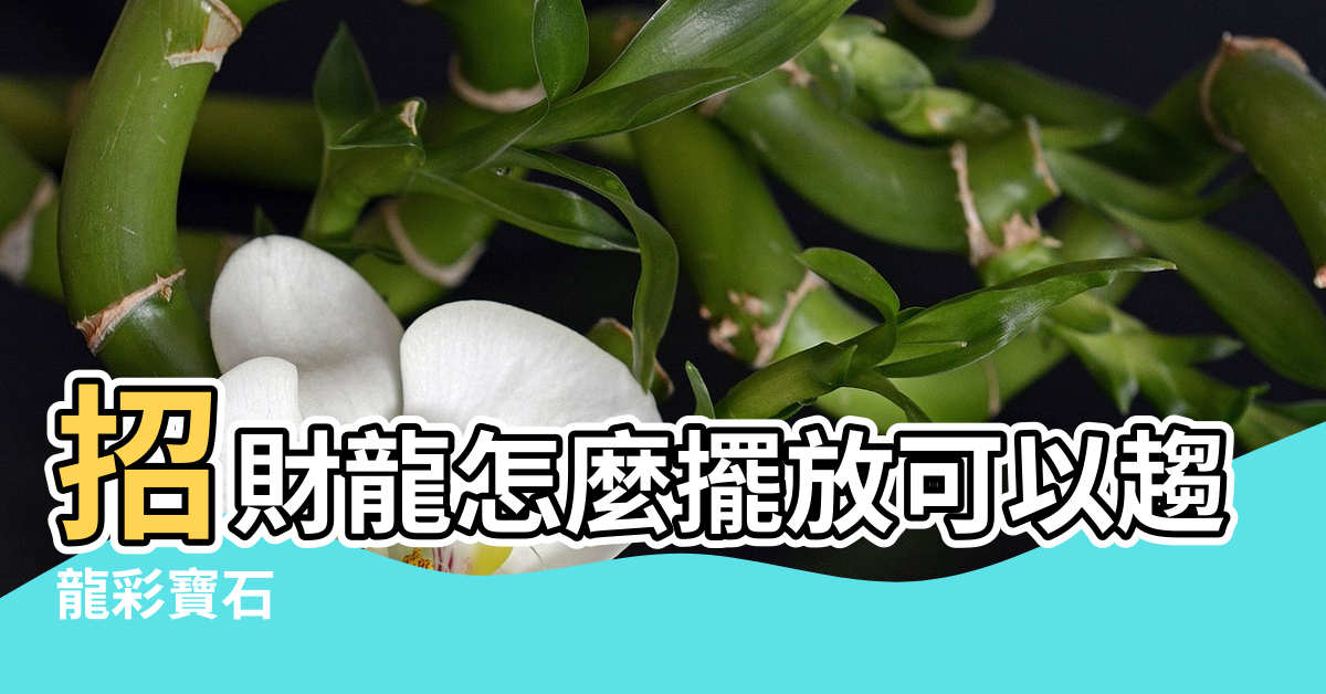 【石龍風水含義】招財龍怎麼擺放可以趨吉避凶 |龍彩寶石 |可化解家中煞氣的風水瑞獸 |