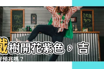 【鐵樹開花紫色】鐵樹開花紫色， 吉祥好預兆嗎？