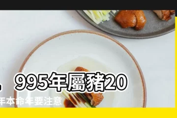 【1995年的人2019年運程】1995年屬豬2019年本命年要注意什麼 |屬豬人2019年度運勢 |1995年出生屬豬的人2019年綜合運勢 |