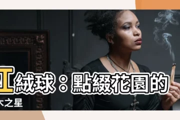 【紅絨球】紅絨球：點綴花園的灌木之星