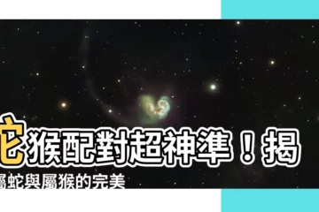 【蛇猴】蛇猴配對超神準！揭密屬蛇與屬猴的完美契合