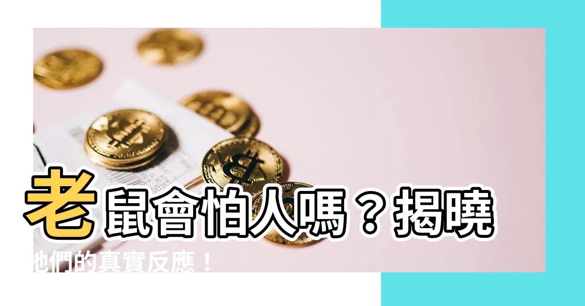 【老鼠會怕人嗎】老鼠會怕人嗎？揭曉牠們的真實反應！