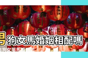 【男屬馬女屬狗的財運】男狗女馬婚姻相配嗎男屬狗女屬馬婚姻怎麼樣 |男馬女狗婚姻怎麼樣屬馬和屬狗的合不合 |屬馬男人和屬狗女人相配嗎 |