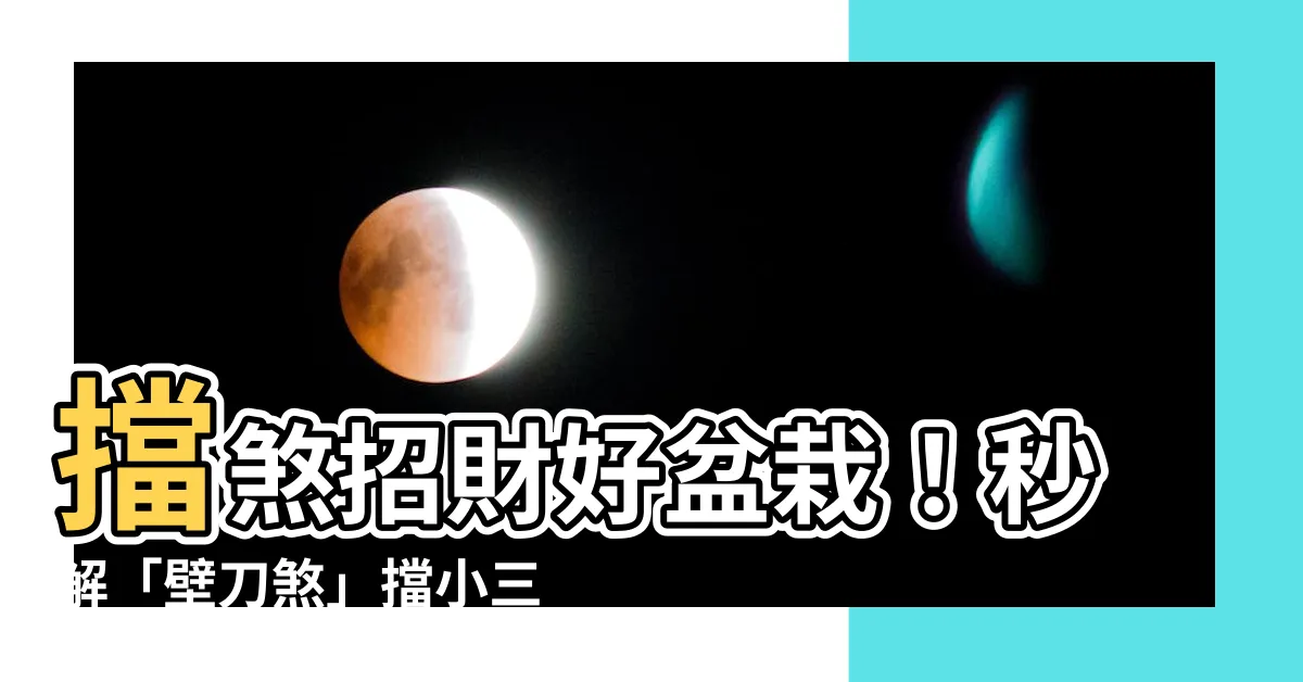 【擋 壁刀煞植物】擋煞招財好盆栽！秒解「壁刀煞」擋小三