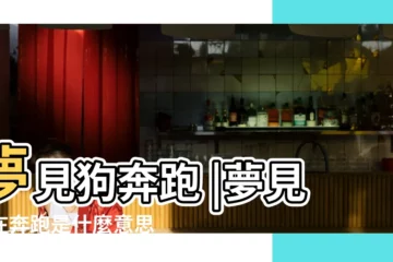 【做夢夢到狗歡快奔跑】夢見狗奔跑 |夢見狗在奔跑是什麼意思 |夢見狗在奔跑 |