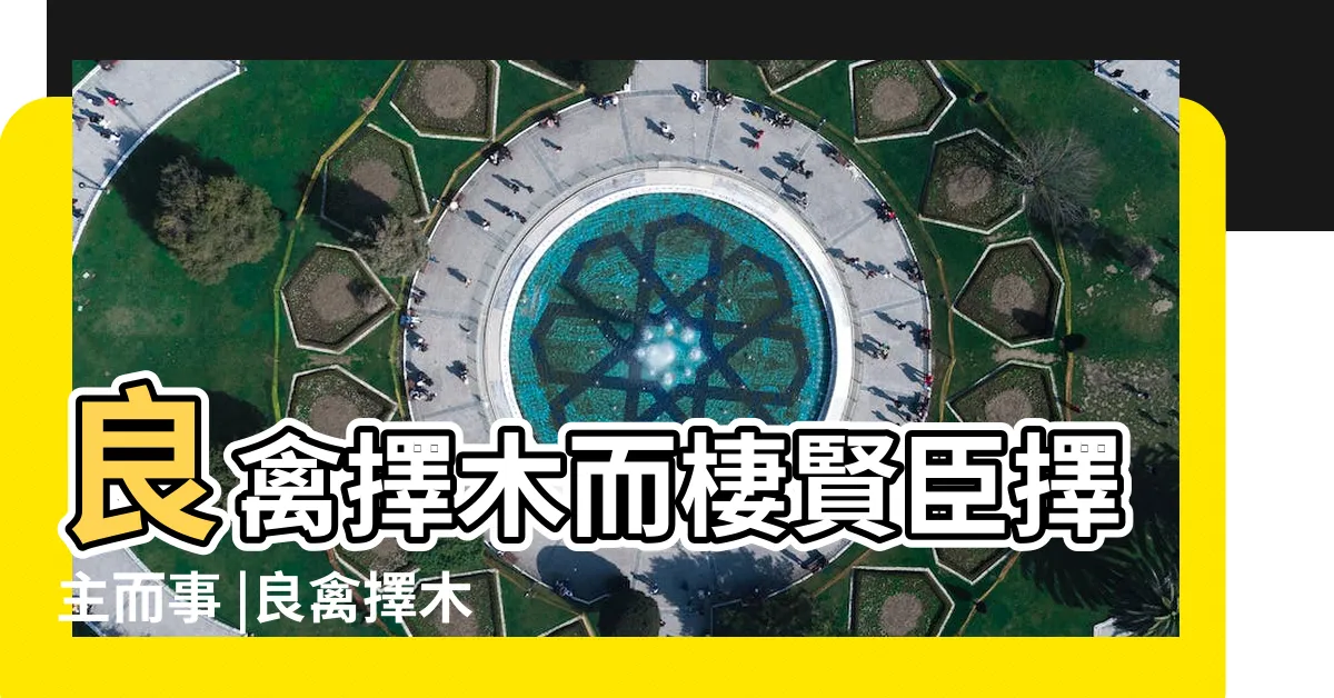 【良禽擇木而居】良禽擇木而棲賢臣擇主而事 |良禽擇木而棲 |良禽擇木而棲 |
