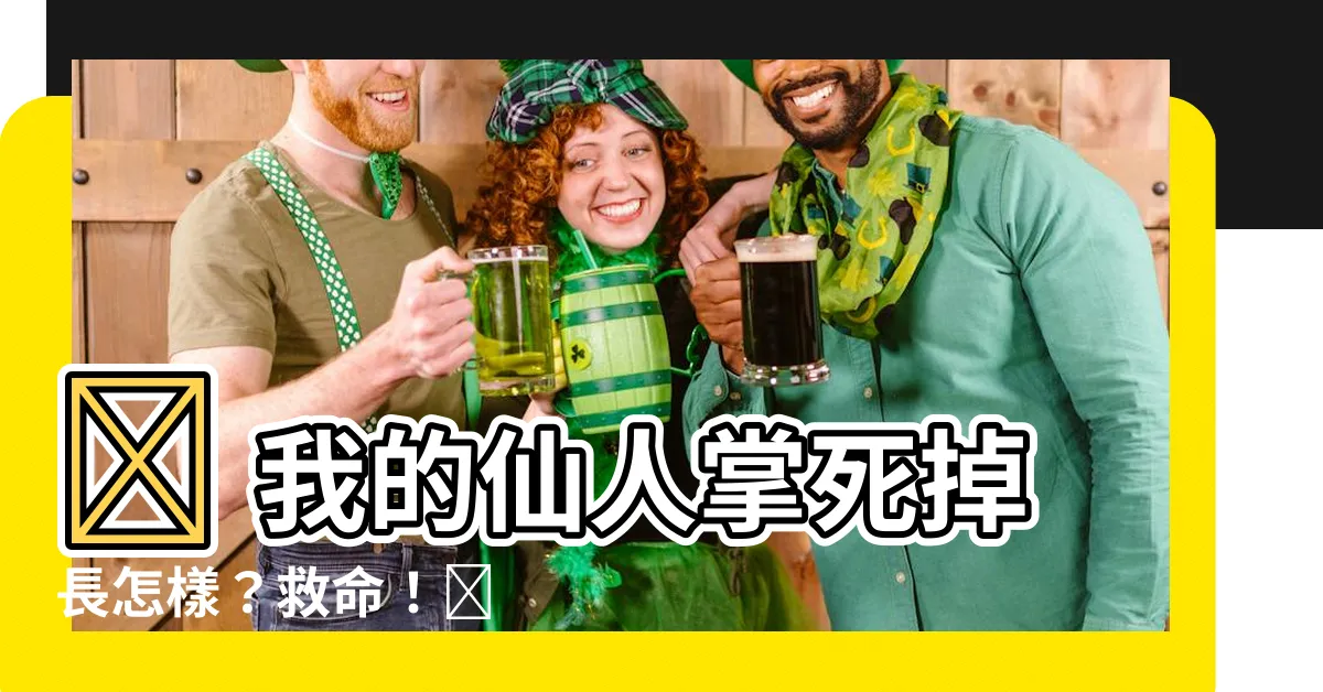 【仙人掌死掉長怎樣】😱 我的仙人掌死掉長怎樣？救命！😭