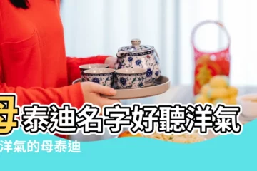 【母泰迪名字好聽洋氣】母泰迪名字好聽洋氣 |最洋氣的母泰迪狗名字 |求母泰迪名字 |