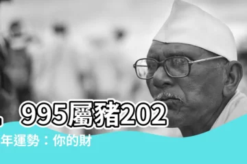 【1995屬豬2024運勢】1995屬豬2024全年運勢：你的財運、愛情、事業運勢如何？
