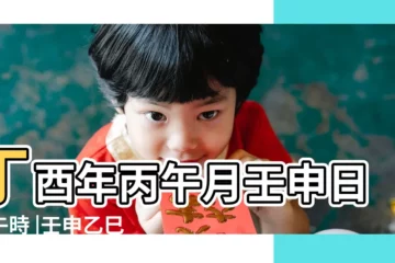 【壬申 財 丁酉】丁酉年丙午月壬申日丙午時 |壬申乙巳丁酉己酉 |丁酉流年 |