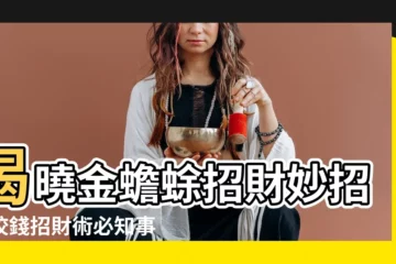 【蟾蜍 咬錢】揭曉金蟾蜍招財妙招：咬錢招財術必知事項！