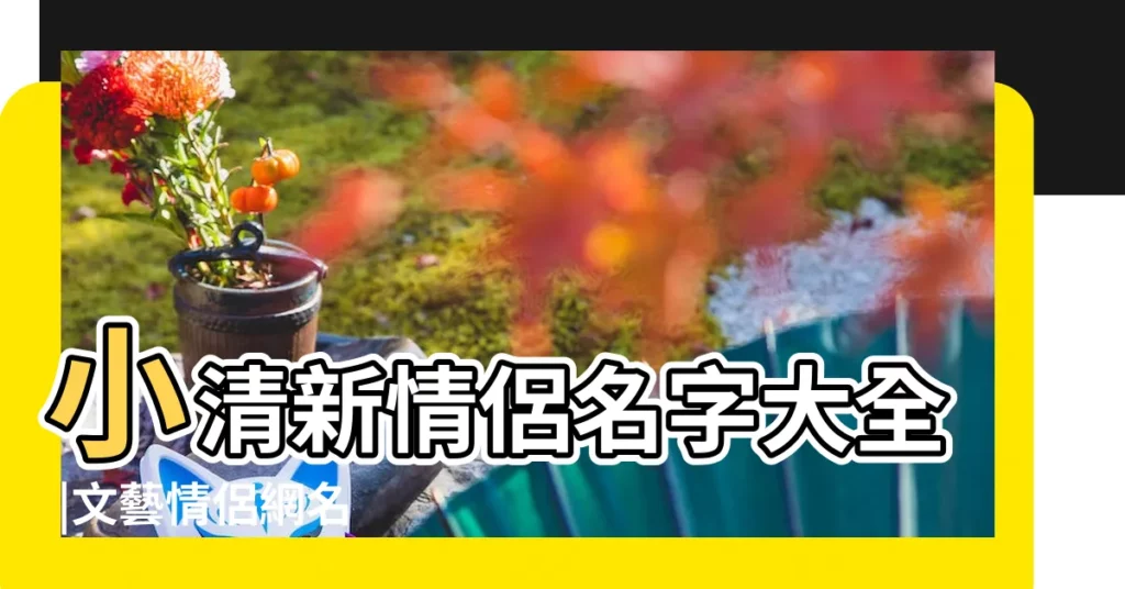 小清新情侶名字大全 |文藝情侶網名 |2人的好基友遊戲名字 |【基友用的情侶網名】
