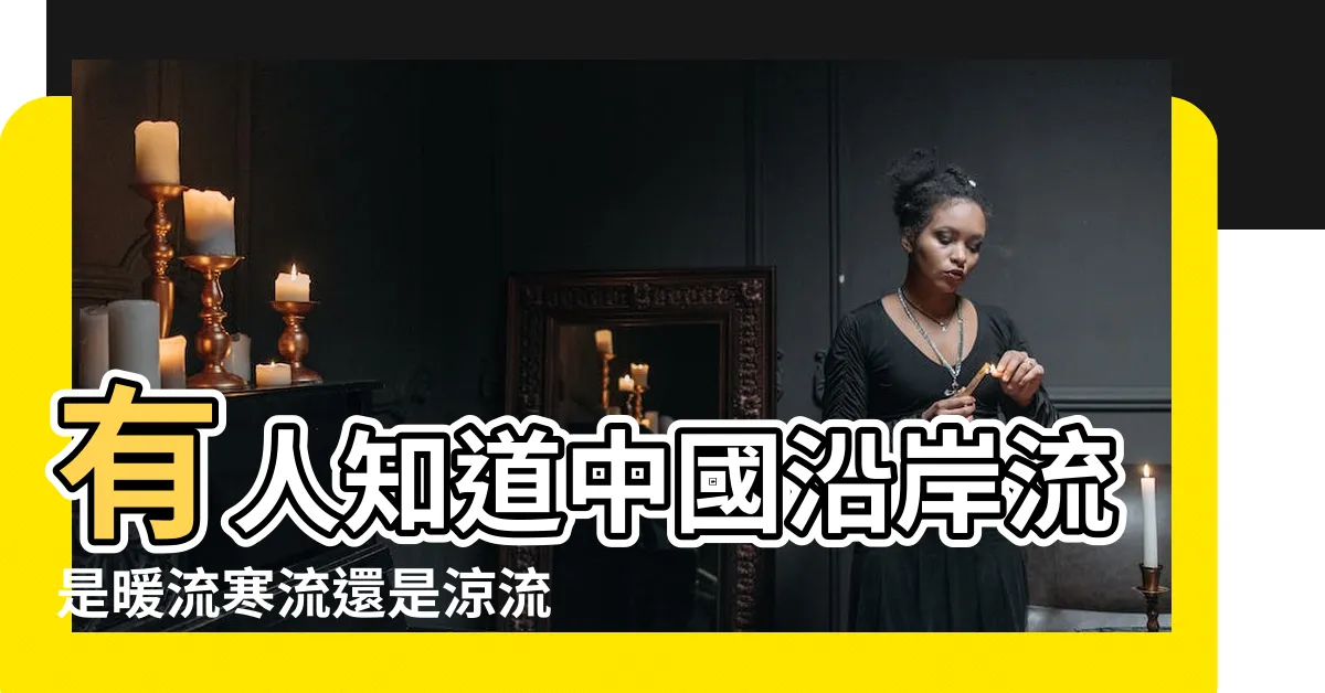 【中國沿岸流是寒流還是涼流】有人知道中國沿岸流是暖流寒流還是涼流嗎 |1VY0139 |中國沿岸流 |