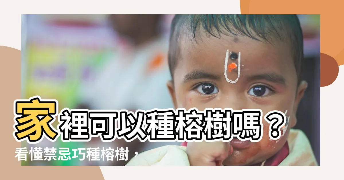 【家裡可以種榕樹嗎】家裡可以種榕樹嗎？看懂禁忌巧種榕樹，帶來滿滿好運！