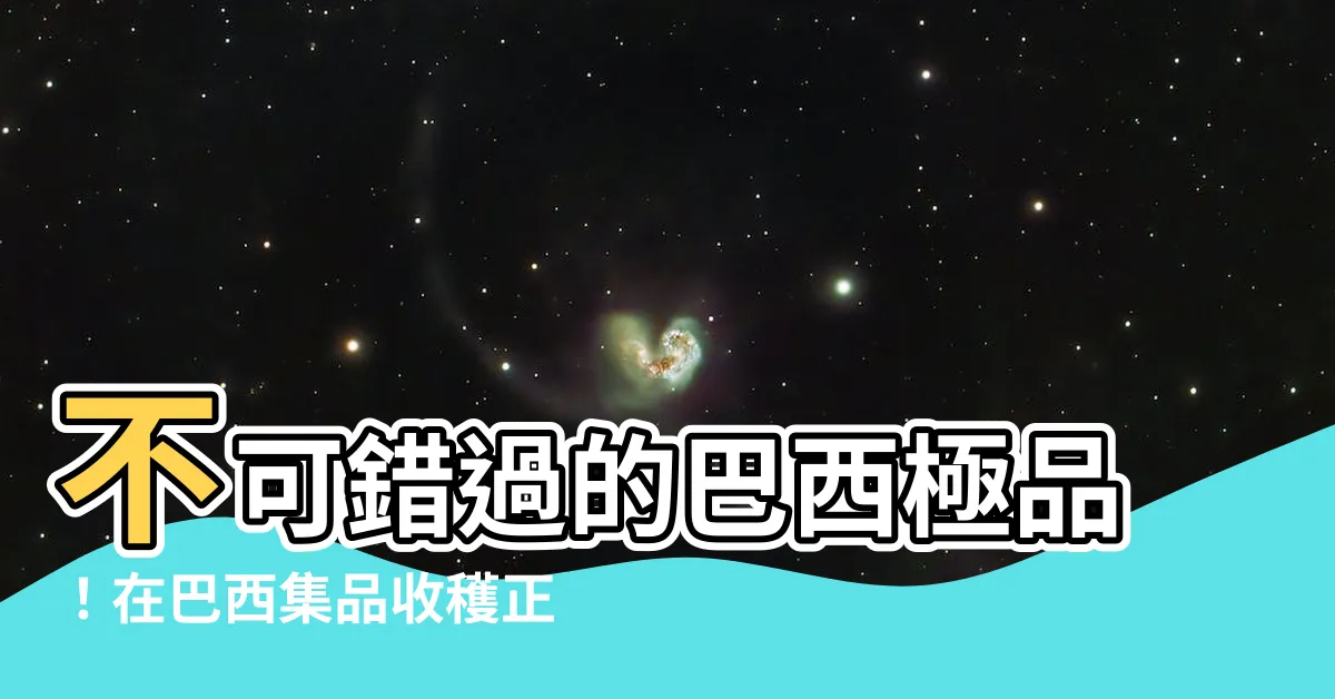 【巴西極品】不可錯過的巴西極品！在巴西集品收穫正宗巴西風情！