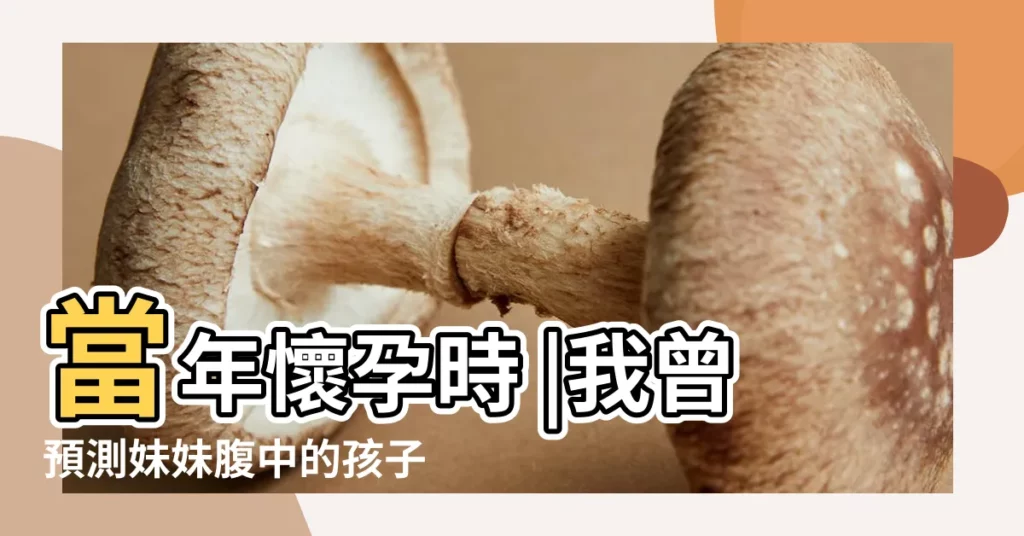 當年懷孕時 |我曾預測妹妹腹中的孩子是男嬰 |周公解夢 |【懷孕期間夢見紙上寫着是男孩】