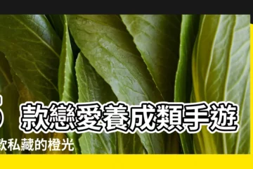 【女生玩的養成遊戲古風】5款戀愛養成類手遊 |5款私藏的橙光古風戀愛遊戲 |Nicegame |