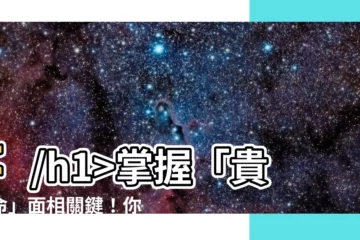 【面相 鼻翼】掌握「貴婦命」面相關鍵！你的鼻翼特徵透露了驚人財運
