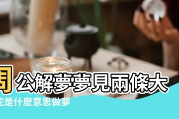 【做夢夢見兩條蛇在一起】周公解夢夢見兩條大蟒蛇是什麼意思做夢夢到兩 |夢見兩條蛇 |夢見兩條蛇纏在一起 |