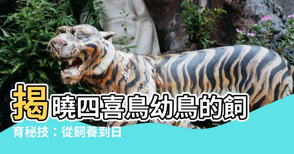 【四喜鳥幼鳥】揭曉四喜鳥幼鳥的飼育秘技：從飼養到日常管理完整指南