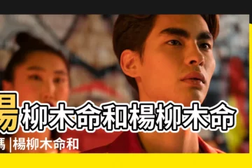 【楊柳木八字相配】楊柳木命和楊柳木命配嗎 |楊柳木命和什麼命最配 |關於楊柳木命的婚配楊柳木命和什麼相配 |