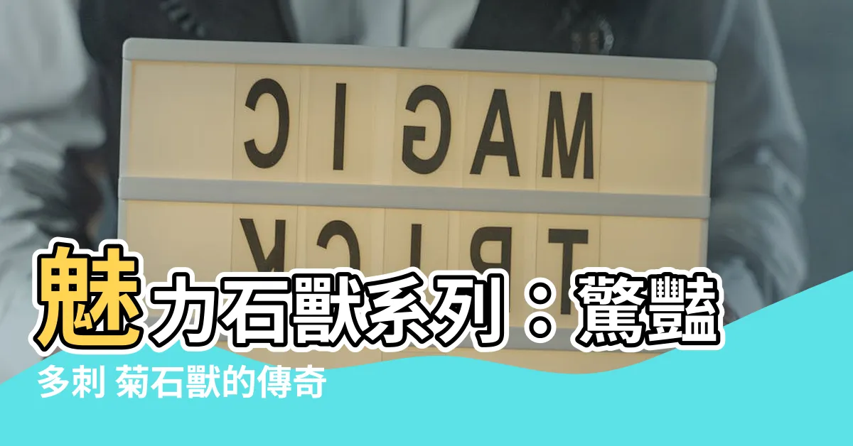 【石獸】魅力石獸系列：驚豔多刺 菊石獸的傳奇之旅
