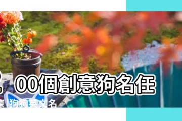 【寵物狗的英文名】200個創意狗名任你揀 |狗狗英文名字大全 |諗到頭都爆 |