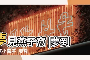 【周公解夢燕子磊窩】夢見燕子窩 |夢到一窩小燕子 |夢見好多小燕子窩 |