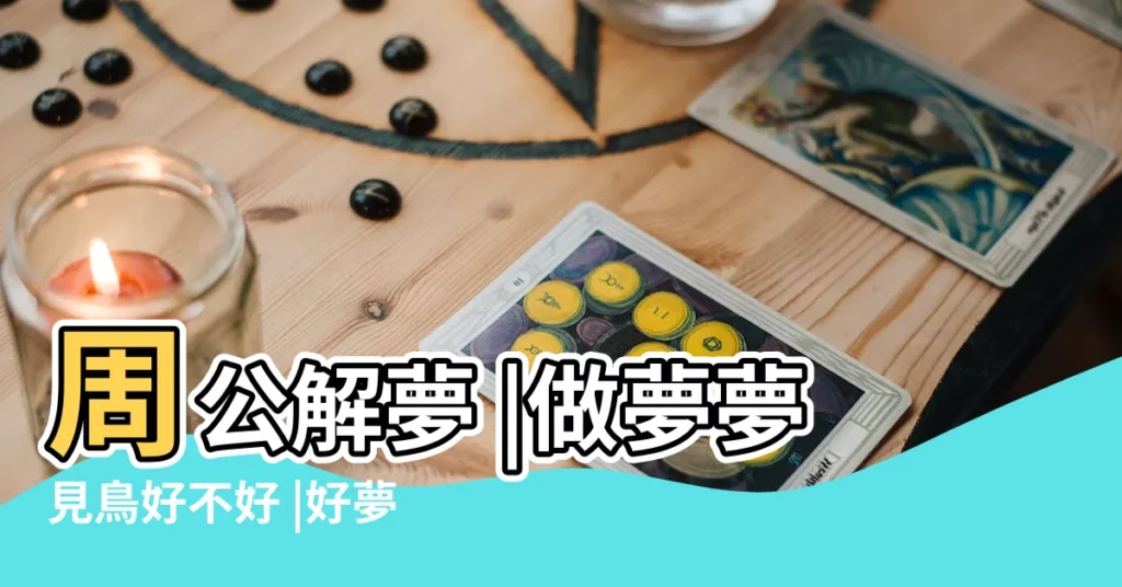 周公解夢 |做夢夢見鳥好不好 |好夢解析 |【孕婦夢見大鳥帶小鳥飛向自己】