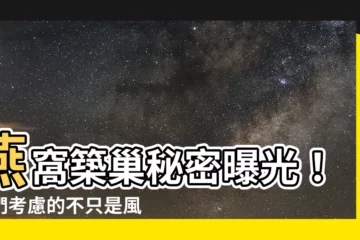 【燕子窩】燕窩築巢秘密曝光！牠們考慮的不只是風水