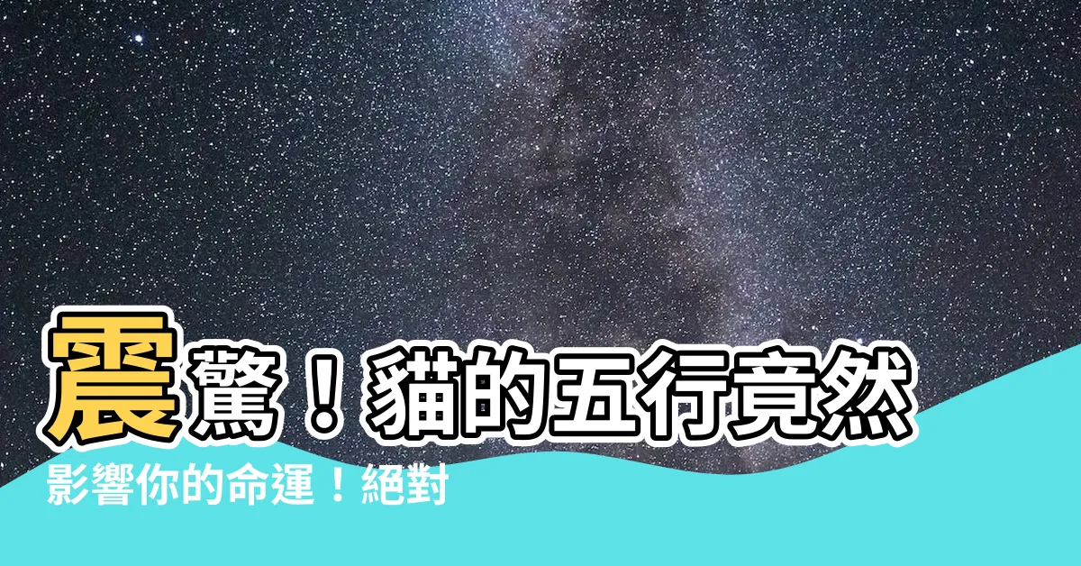 【貓的五行】震驚！貓的五行竟然影響你的命運！絕對不能錯過！