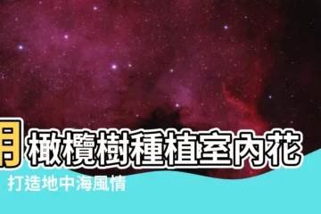 【橄欖樹種植室內】用橄欖樹種植室內花園：打造地中海風情