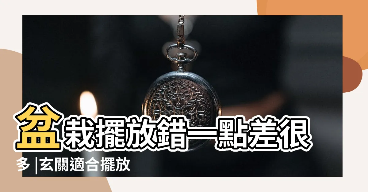 【玄關植物擺放】盆栽擺放錯一點差很多 |玄關適合擺放什麼植物 |這3種植物擺客廳 |