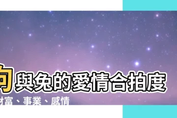 【狗與兔】狗與兔的愛情合拍度：財富、事業、感情大解析！