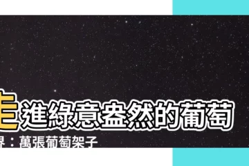 【葡萄架子】走進綠意盎然的葡萄世界：萬張葡萄架子圖片任你欣賞！