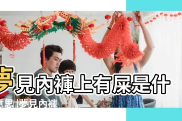 【夢見女人穿着內褲拉屎】夢見內褲上有屎是什麼意思 |夢見內褲上有屎 |做夢夢見內褲上有屎好不好 |